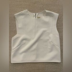 Torn by Ronny Kobo White Crop Top